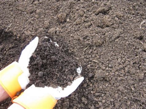 Ridgewood Soils Mulch Soil Stone And Sand In Berks County Pa