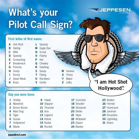 A Cartoon Character With Sunglasses On His Head And The Words Pilot