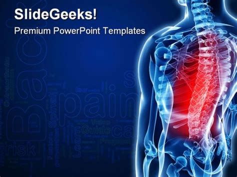Anatomy Powerpoint Templates The Highest Quality