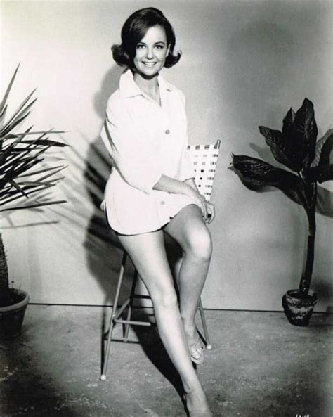 American Actress And Singer Shelley Fabares Circa Photo D Hot Sex Picture
