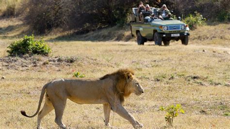 Turismo En El Parque Kruger Aventura África™ Sudáfrica