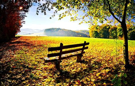 Hd Wallpaper Autumn Rest Lovely Relax Sunny Seat Mist Nice