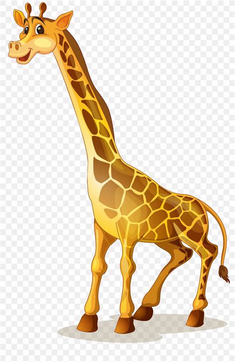 Giraffe Cartoon Illustration Png 3348x5160px Giraffe Cartoon