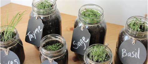 How To Grow An Endless Supply Of Herbs In Mason Jars