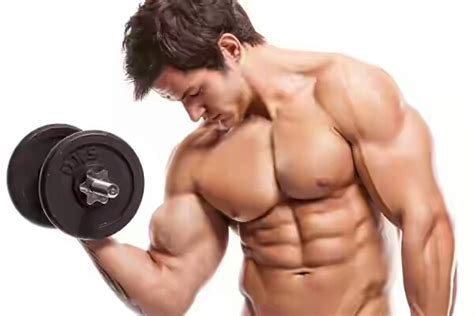 5 Ways To Gain Lean Mass And Lose Fat Charlierex