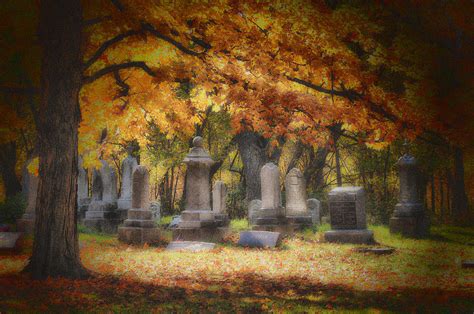 Fall Graveyard Photograph By Donald Schwartz