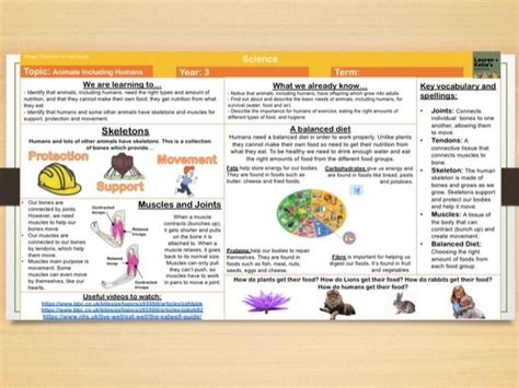 Animals Including Humans Year 3 Knowledge Organiser Teaching Resources