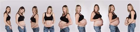 Schwangerschaft Foto Aurachers Webseite