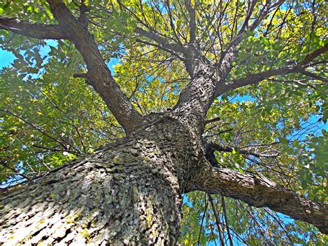 Student Photo Contest 2016 Kansas Historical Society