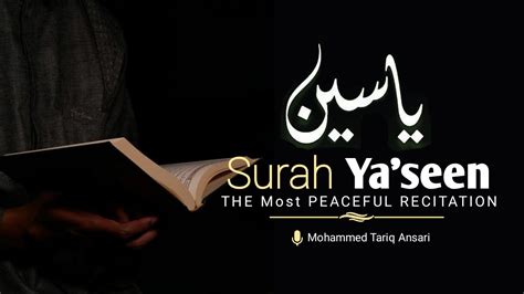 Surah Yaseen سورة يس Recitation Of Holy Quran Full With Arabic