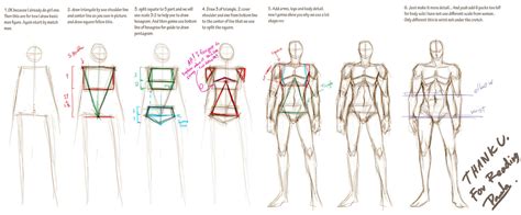 Como Desenhar Mang Tutorial Anatomia