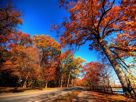 Menatap 10 Dari Tempat Terbaik Untuk Lihat Fall Foliage Di Kanada