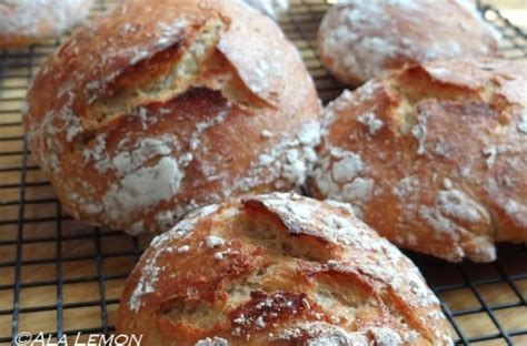 How To Make 2 Hour No Knead Bread Kosher Bread Pro