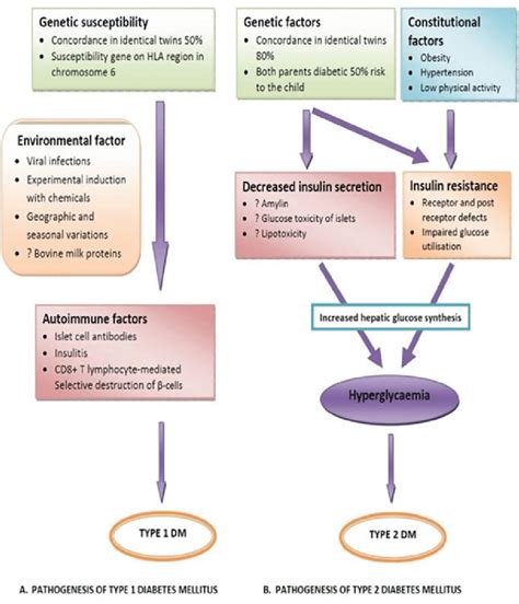 Pathophysiology Of Type 1 And Type 2 Diabetes Source Parveen Et Al