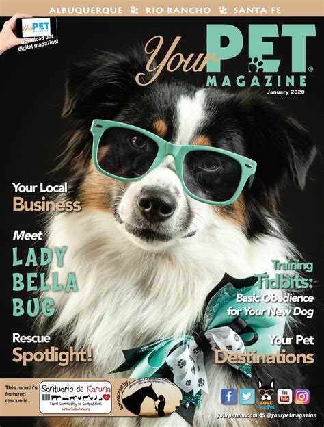 Your Pet Magazine January 2020 By Your Pet Magazine Issuu