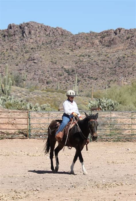 share your photos queen valley mule ranch