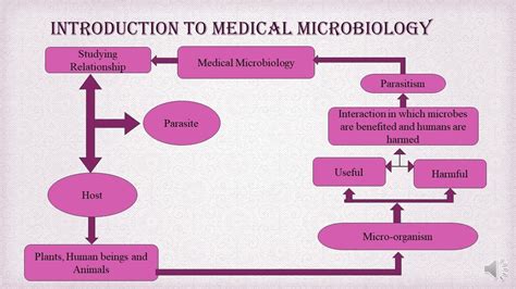 Basics Of Medical Microbiology Microbiology With Sumi Youtube