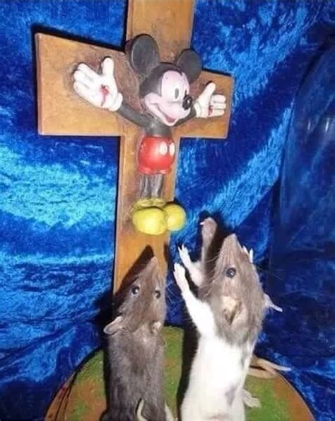 Mouse Jesus Ratheistmemes