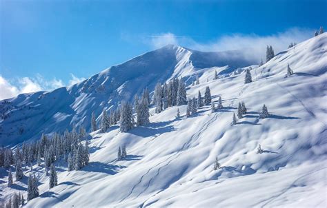 Wallpaper Winter Snow Trees Mountains Austria Slope Austria