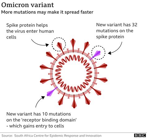 What Are The Covid Variants And Do Vaccines Still Work Bbc News