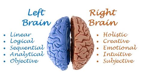 That means, there is no certain research, data or. Left brain and right Brain - Characteristics