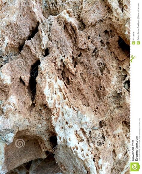 Sedimentary Rocks With Marine Fossils Stock Photo Image Of Shell