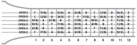 Beginner S Guide To Guitar Notes National Guitar Academy