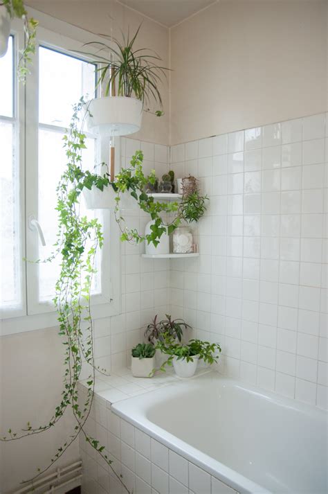 30 Bathroom Plant Decor Ideas