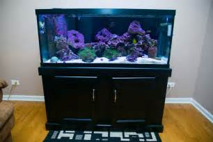 Selling my 75 gallon reef tank ? ROTTER Tube Reef