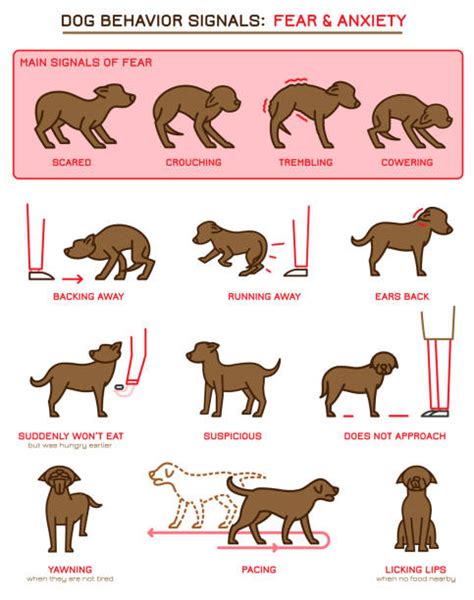 Dog Training Illustrations Royalty Free Vector Graphics And Clip Art