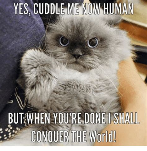 The Best Cutest Cuddle Memes Ann Portal
