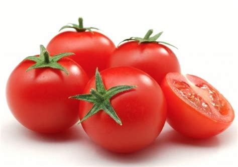 Can Dogs Eat Tomatoes Benefits Side Effects And Tips