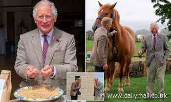 Prince Charles Is Surrounded By Piglets As He Visits Bbc Countryfile