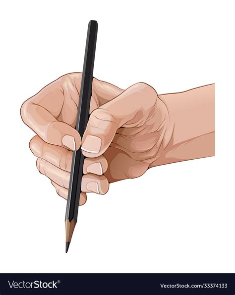 Isolated Hand Holding A Pencil Royalty Free Vector Image