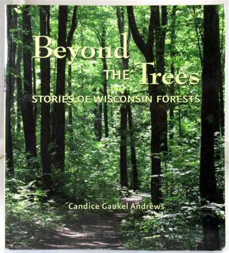 Beyond The Trees Stories Wisconsin Forest History Logging Ccc Camps