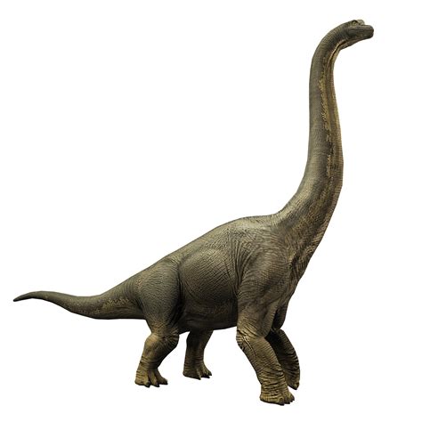Brachiosaurus Jurassic World Alive Wiki Gamepress