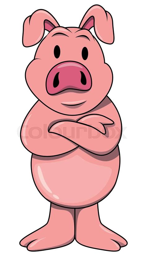 Standing Pig Stock Vector Colourbox