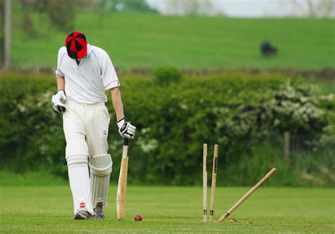 Free Images Man Grass Play Player Pitch Cricket Golf Club