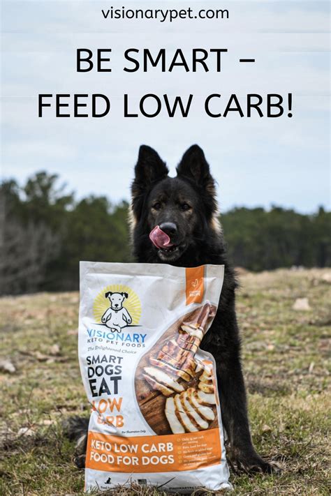 In general, dogs need fat, and lots of the dog foods. Keto Dog Food - Low Carb - High Protein - Grain Free - Chicken Recipe - 22lb Bag | Dog food ...