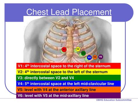 Ppt Chapter 7 For 12 Lead Training Acquisition Powerpoint