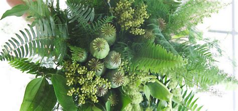 We did not find results for: Foliage Bouquet | Tobey Nelson Weddings + Events | Foliage ...