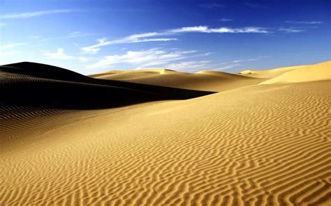 Top 10 Largest Deserts In The World All Top Everything