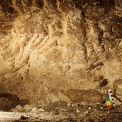 Analysed Superimposition Sequence Of Finger Flutings In Malangine Cave