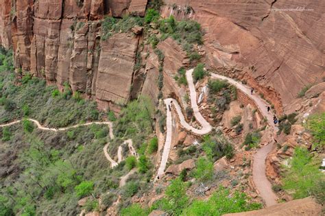 A Death Defying Hike Part 2 Angels Landing Zion National Park Everyones Travel Club