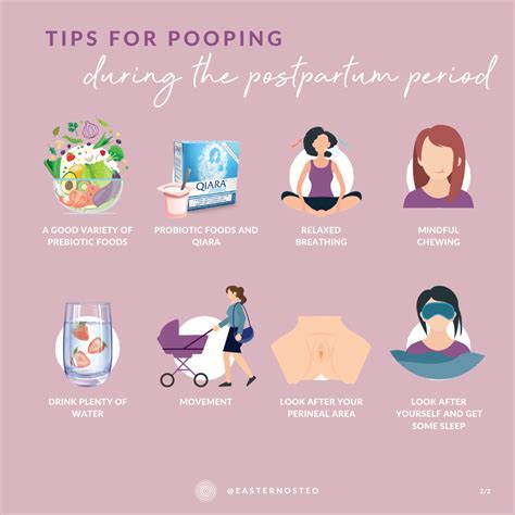 Kates Tips For Pooping In The Postpartum Period — Eastern Osteopathy