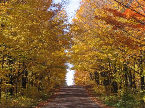 10 Country Roads In Minnesota To Drive In The Fall