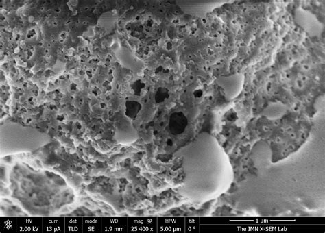 Sem has better resolution capability and depth of field than a light microscope. 1178 questions with answers in SCANNING ELECTRON ...