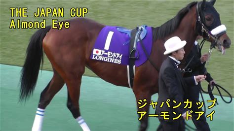 Welcome to your youtube channel please like and sub support me you can watch other videos here. 2018 ジャパンカップ THE JAPAN CUP アーモンドアイ Almond Eye - YouTube