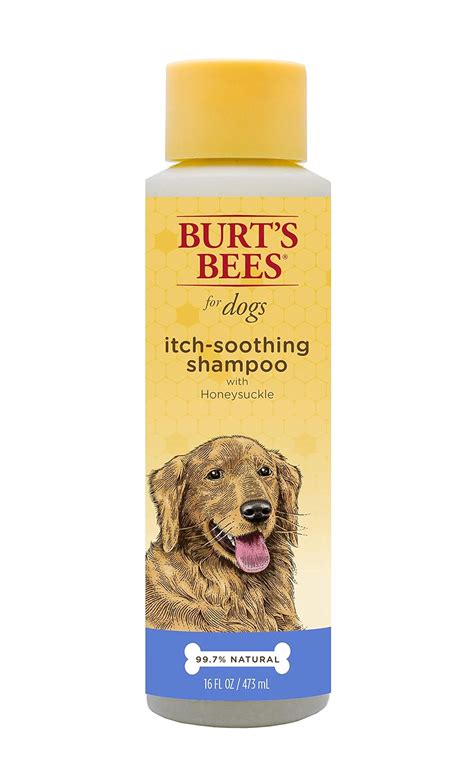 Best Dog Shampoo For Itchy Skin The Ultimate Guide