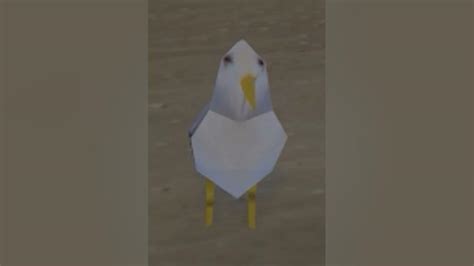 Sims 4 Seagulls Youtube